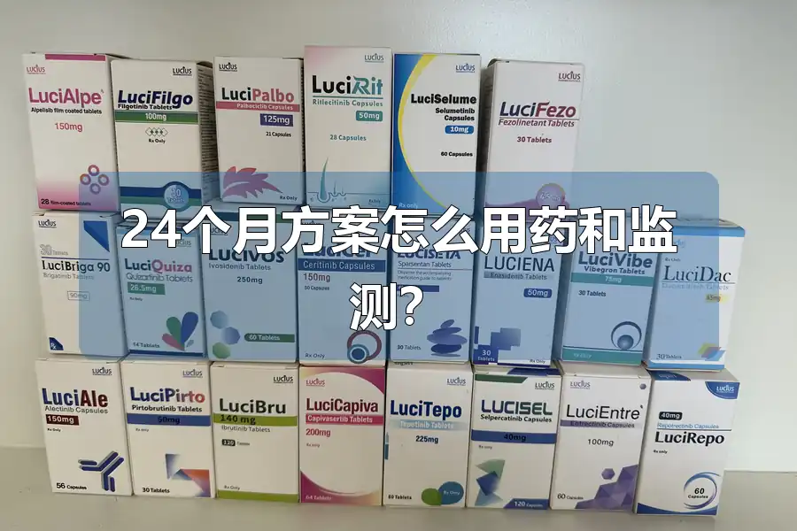 24个月方案怎么用药和监测？